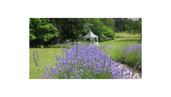 Best Western Premier Moor Hall Hotel And Spa poza 21