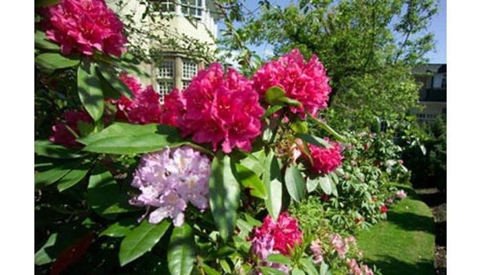 Dalmeny Park Country House Hotel And Gardens poza 5