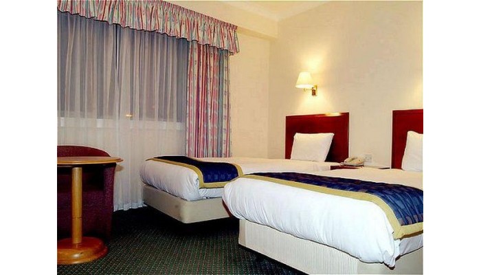 Hotel Holiday Inn London - Heathrow Ariel poza 11