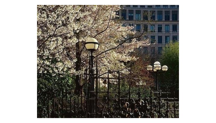 Canary Riverside Plaza Hotel poza 23