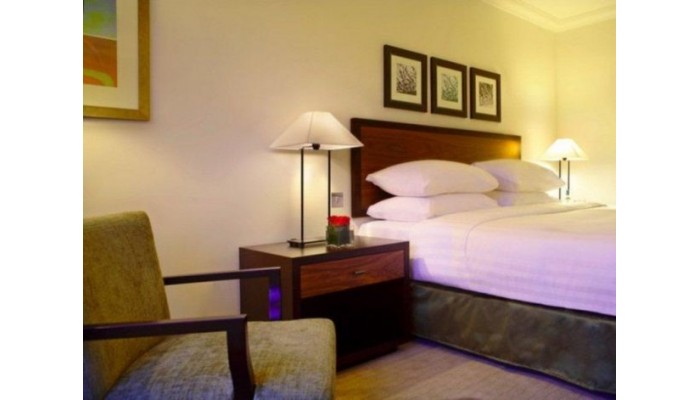 Hotel Hyatt Regency London Churchill poza 2